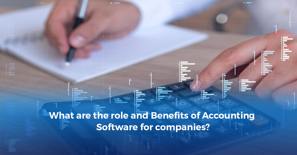 What is the Role of Accounting Software for Companies